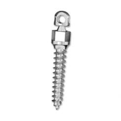 Dentos Micro Implant Anchorage 迷你型矯正植體 - Circle Head(CH) Type